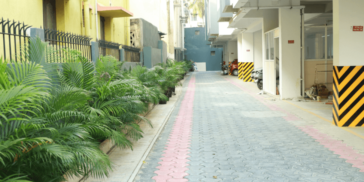 Ashwa-duagr-8